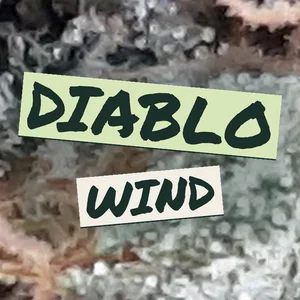 Diablo Wind Cannabis Strain