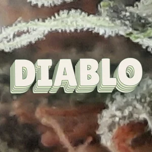 Diablo Cannabis Strain