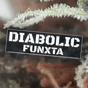 Diabolic Funxta Cannabis Strain