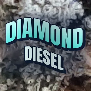 Diamond Diesel Cannabis Strain