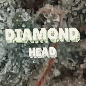 Diamond Head Cannabis Strain