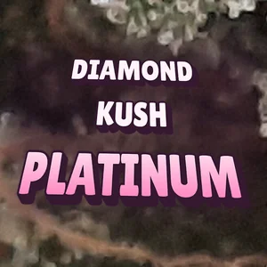 Diamond Kush Platinum Cannabis Strain
