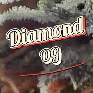 Diamond OG Cannabis Strain