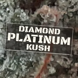 Diamond Platinum Kush Cannabis Strain