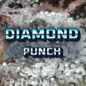 Diamond Punch Cannabis Strain