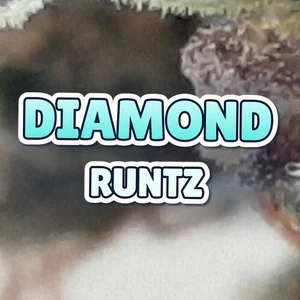 Diamond Runtz Cannabis Strain