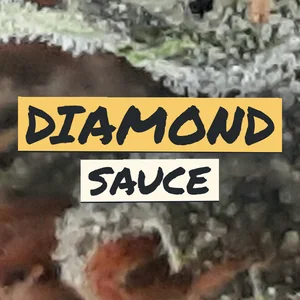 Diamond Sauce Cannabis Strain