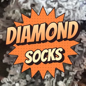 Diamond Socks Cannabis Strain