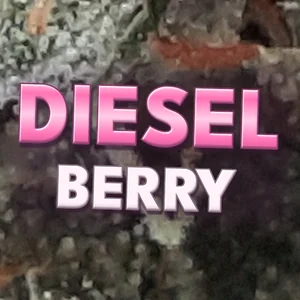 Diesel Berry Cannabis Strain