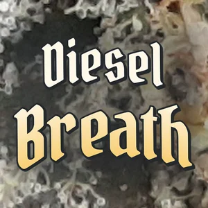 Diesel Breath Cannabis Strain