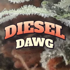 Diesel Dawg Cannabis Strain