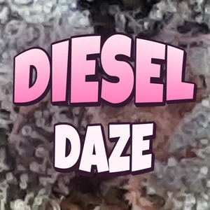 Diesel Daze Cannabis Strain