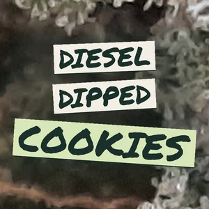 Diesel Dipped Cookies Cannabis Strain