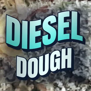 Diesel Dough Cannabis Strain