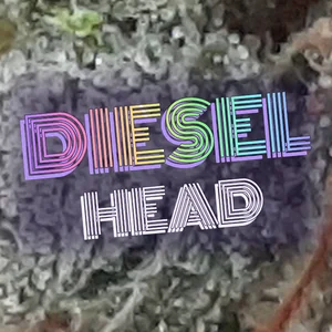 Diesel Head Cannabis Strain