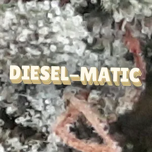 Diesel-Matic Cannabis Strain