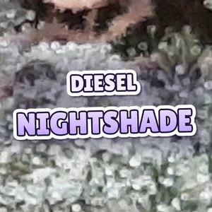 Diesel Nightshade Cannabis Strain