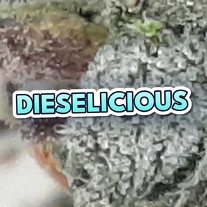 Dieselicious Cannabis Strain