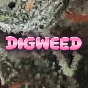 Digweed Cannabis Strain