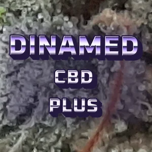 Dinamed CBD Plus Cannabis Strain