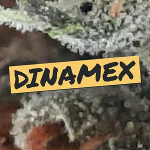 Dinamex Cannabis Strain