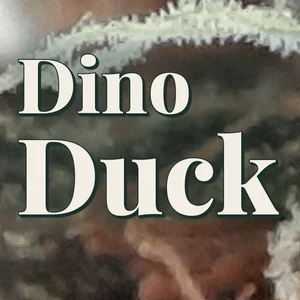 Dino Duck Cannabis Strain