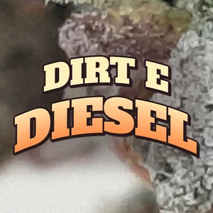 Dirt E Diesel Cannabis Strain