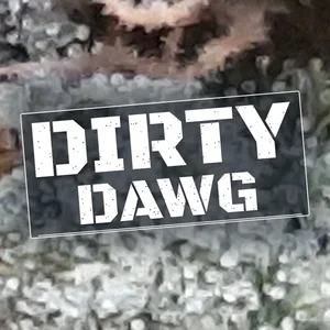 Dirty Dawg Cannabis Strain
