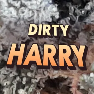 Dirty Harry Cannabis Strain