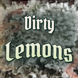 Dirty Lemons Cannabis Strain