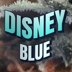 Disney Blue Cannabis Strain
