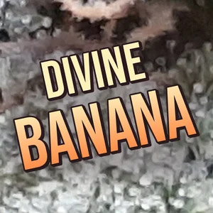 Divine Banana Cannabis Strain