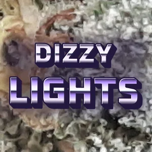 Dizzy Lights Cannabis Strain