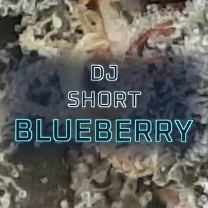 DJ Short Blueberry Cannabis Strain