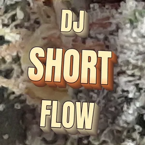 DJ Short Flow Cannabis Strain