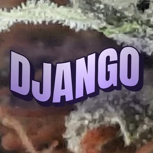 Django Cannabis Strain
