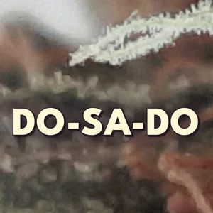 Do-Sa-Do Cannabis Strain