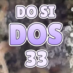 Do Si Dos 33 Cannabis Strain