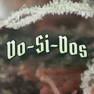Do-Si-Dos Cannabis Strain