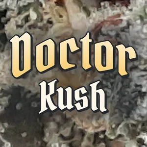 Doctor Kush Cannabis Strain
