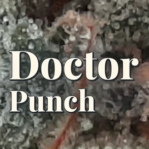 Doctor Punch Cannabis Strain