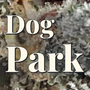 Dog Park Cannabis Strain