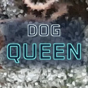 Dog Queen Cannabis Strain