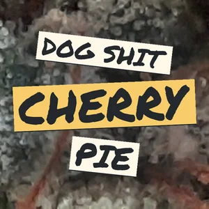 Dog Shit Cherry Pie Cannabis Strain