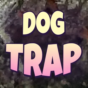 Dog Trap Cannabis Strain