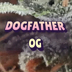 Dogfather OG Cannabis Strain