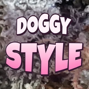 Doggy Style Cannabis Strain