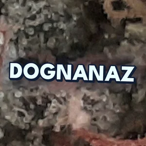 Dognanaz Cannabis Strain