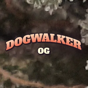 Dogwalker OG Cannabis Strain