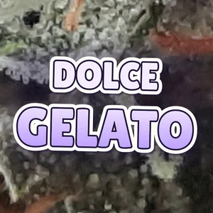 Dolce Gelato Cannabis Strain